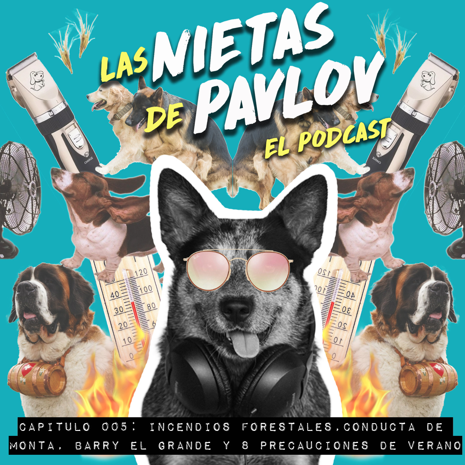 Las Nietas de Pavlov