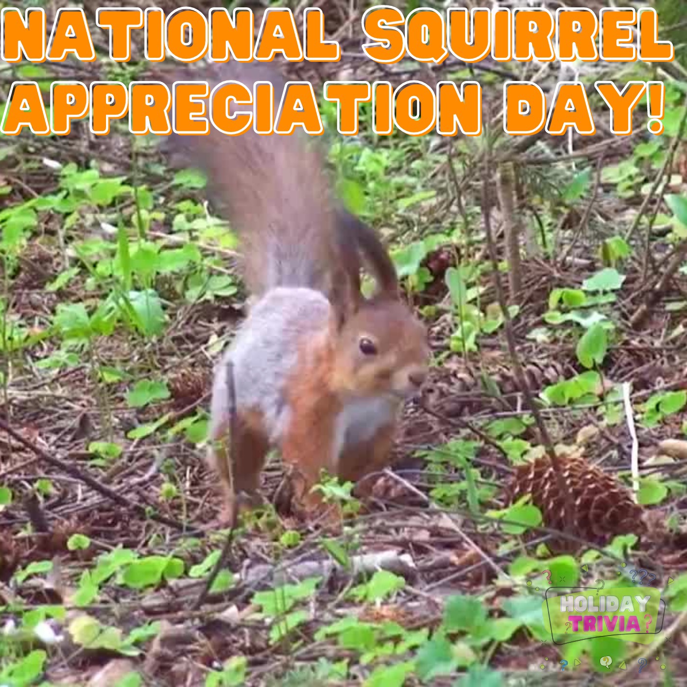 Episode #069 National Squirrel Appreciation Day!!! Image