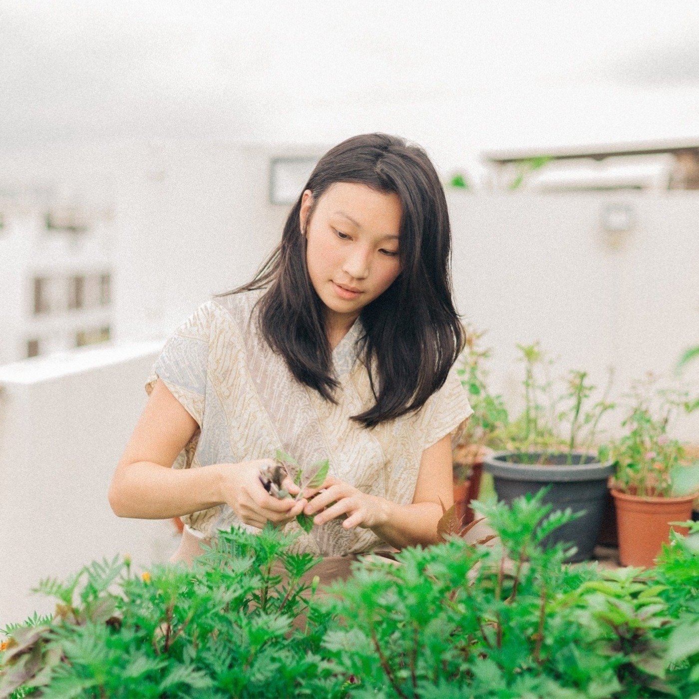 18: What the act of gardening teaches us about cooking | Joanna Chuah, Founder of WWEdibles episode artwork
