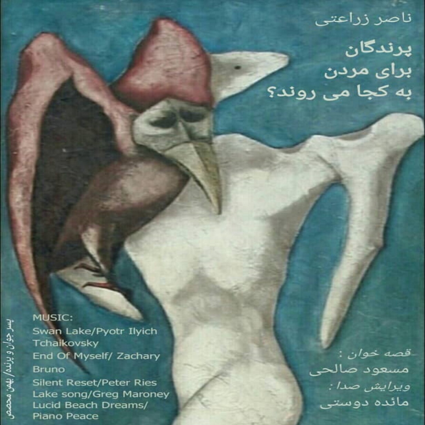 «پرندگان برای مردن به کجا میروند؟»