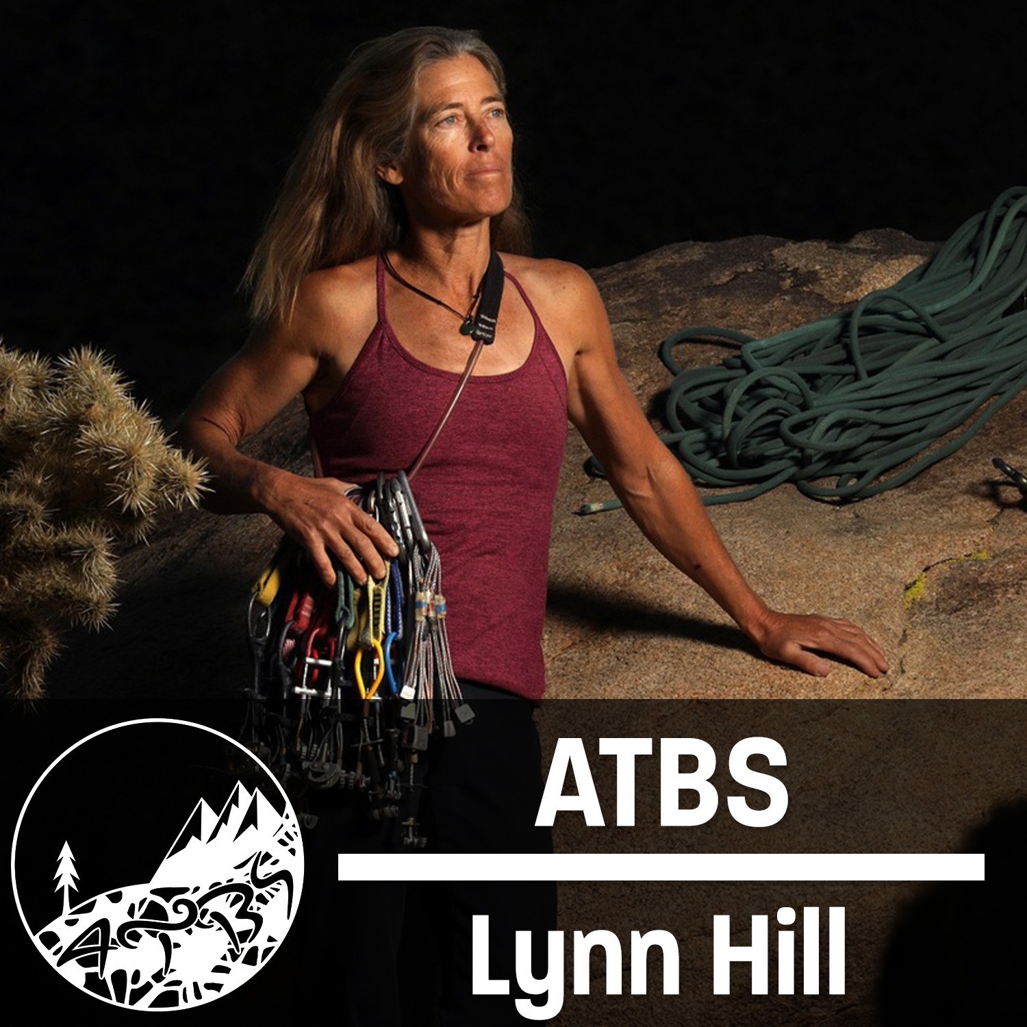 The Hills We Climb - With Lynn Hill - ATBS #39