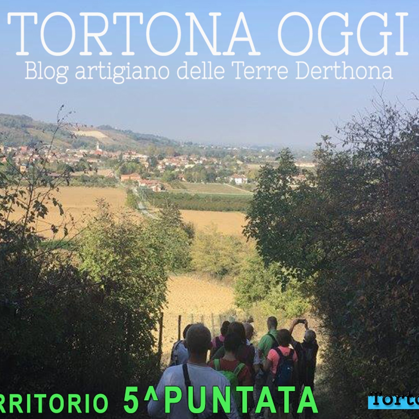 The Canteen User - VOCI DAL TERRITORIO