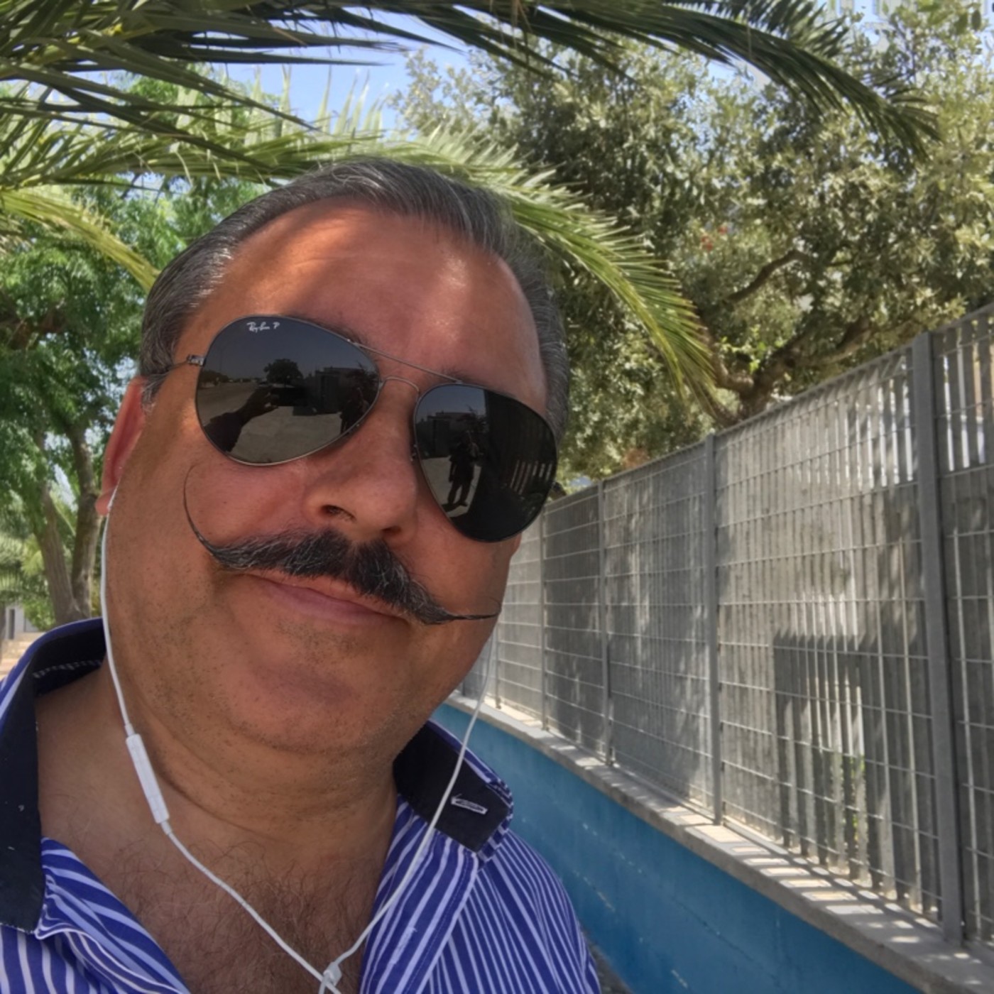 IPNOSI DCS Vera e Professionale