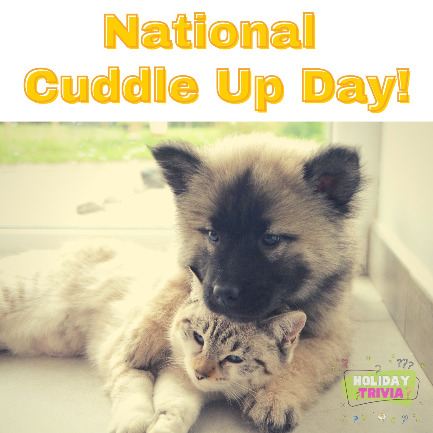 Episode #058 National Cuddle Up Day! Image