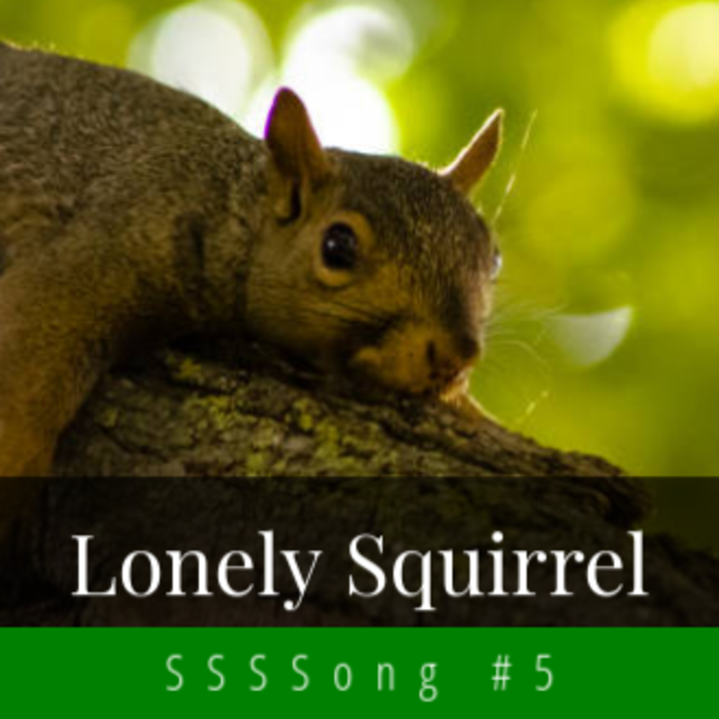 SSSSong #5: Lonely Squirrel (The Squirrel and the Hippo)