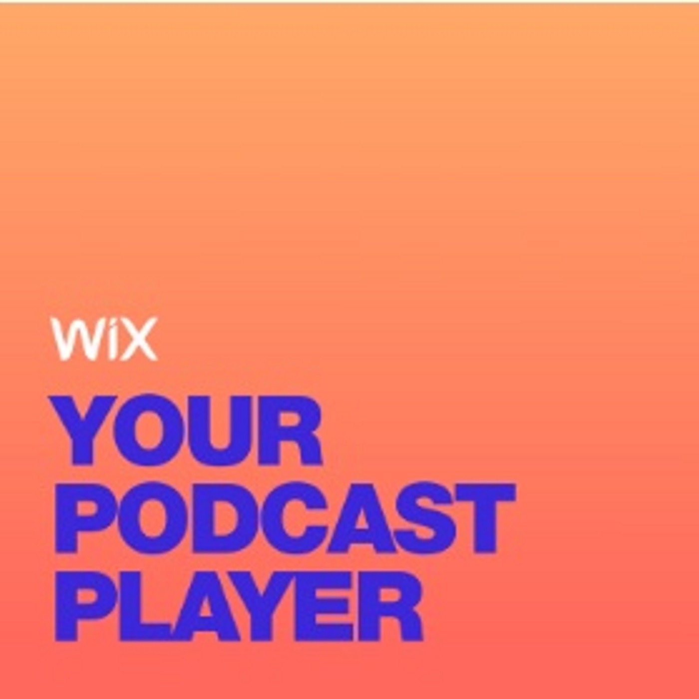 Audio Player Image