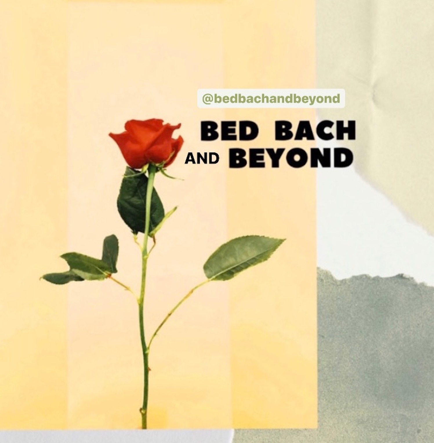 Bed Bach and Beyond