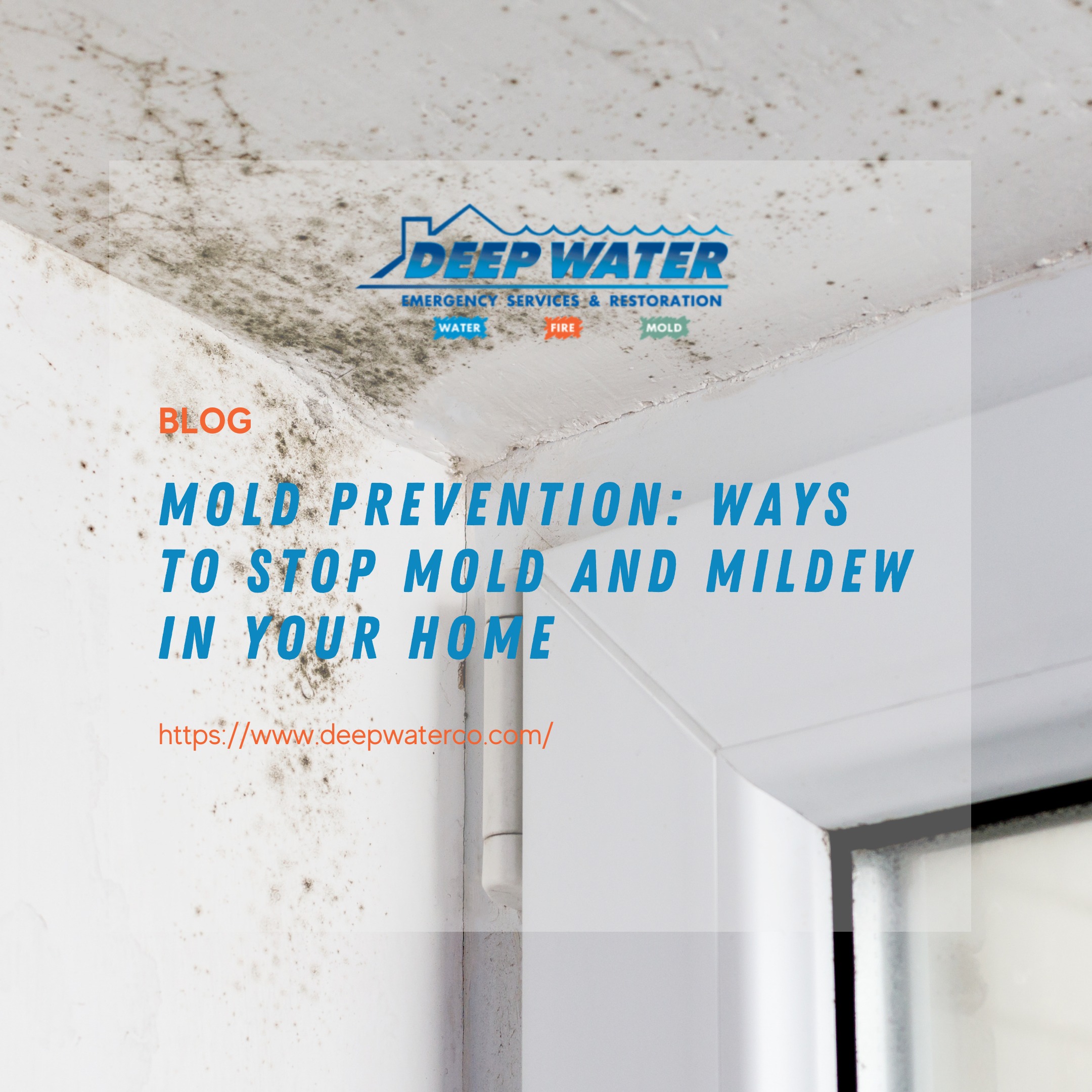 Mold Prevention: Ways to Stop Mold and Mildew in Your Home