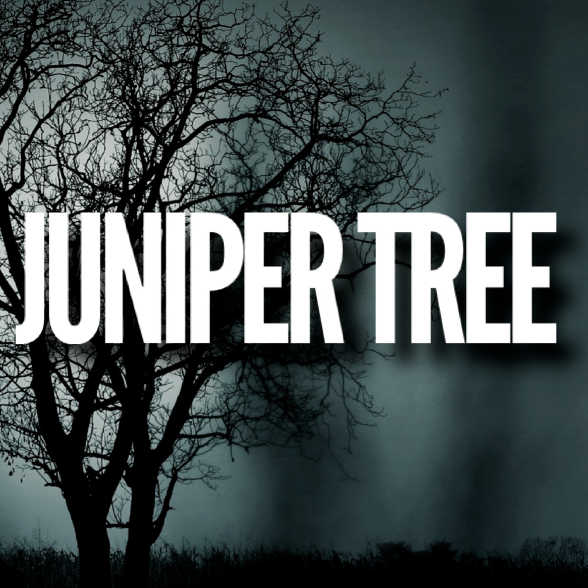JUNIPER TREE The SCARIEST Brothers Grimm Story Haunted Forest Listen via Hubhopper