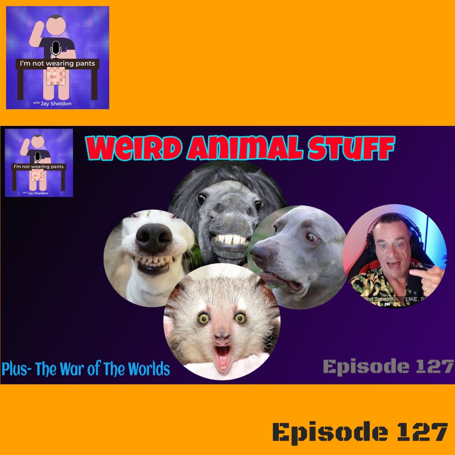 Stupid things pets do! - and The War of The Worlds! episode artwork