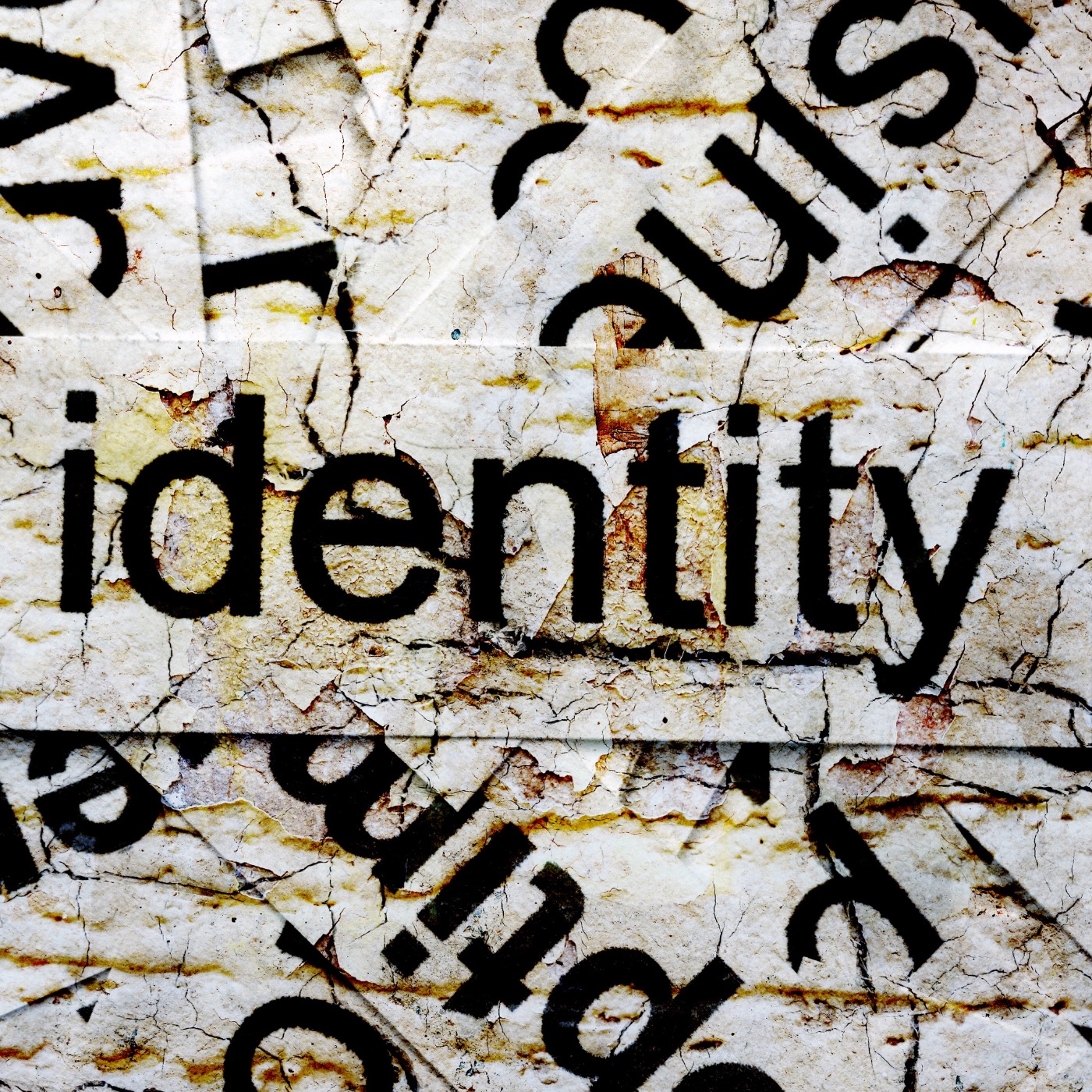 Identity episode artwork