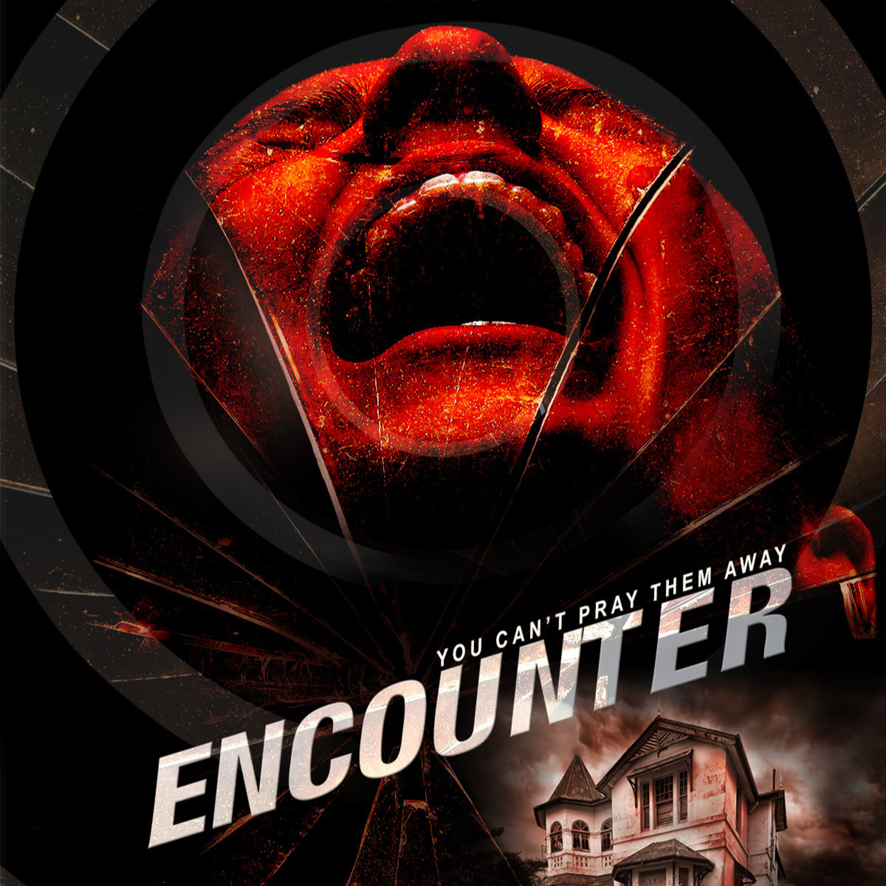 Encounter (2016) Movie Review (Directed By Susannah O'Brien) episode artwork