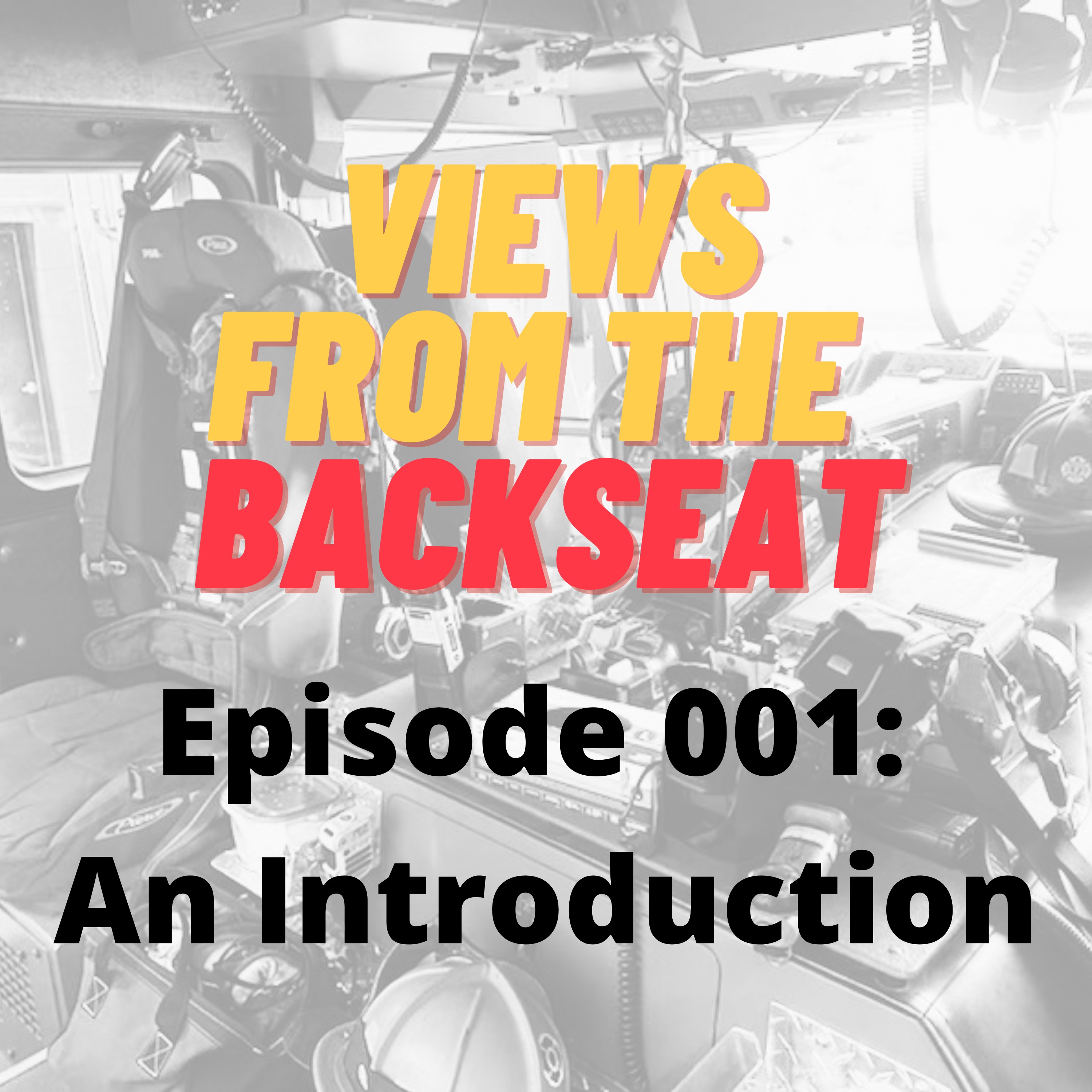 Views From The Back Seat