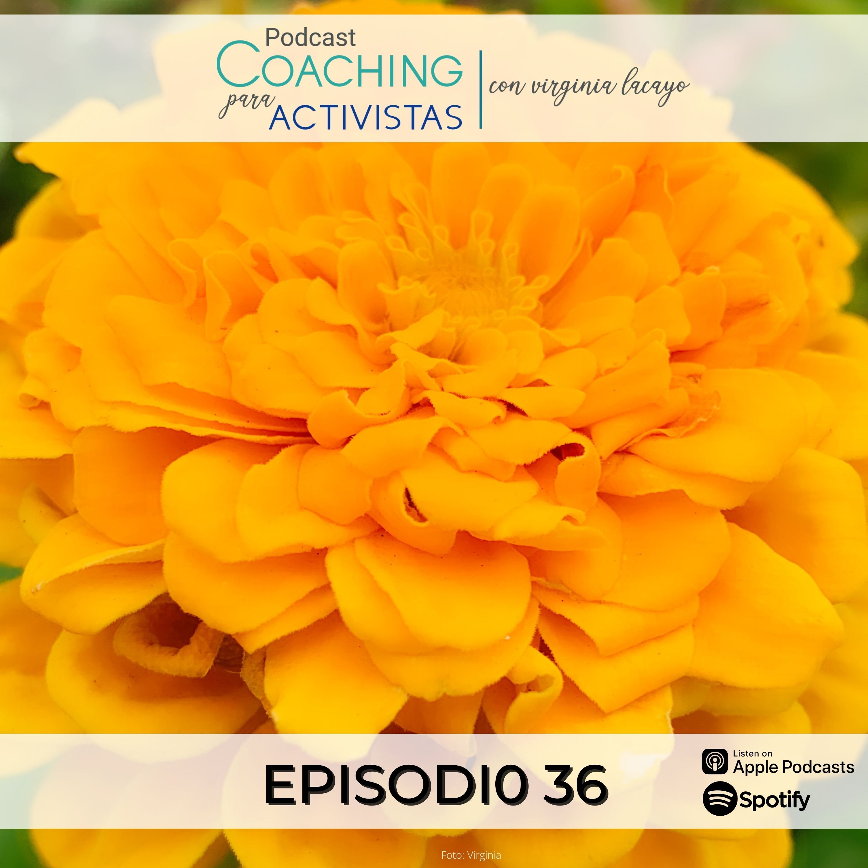 Indomable - Podcast con Virginia Lacayo