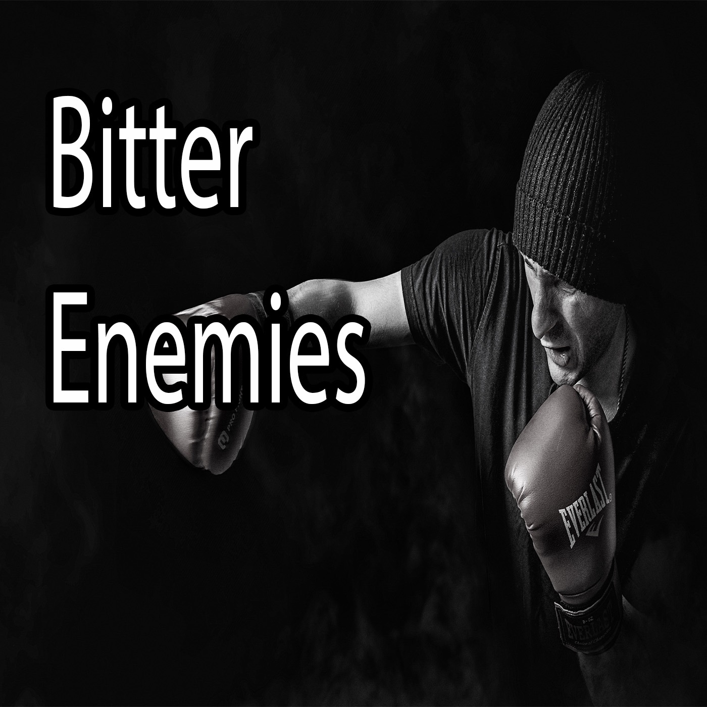 Bitter Enemies - There is no friendship with the world! episode artwork