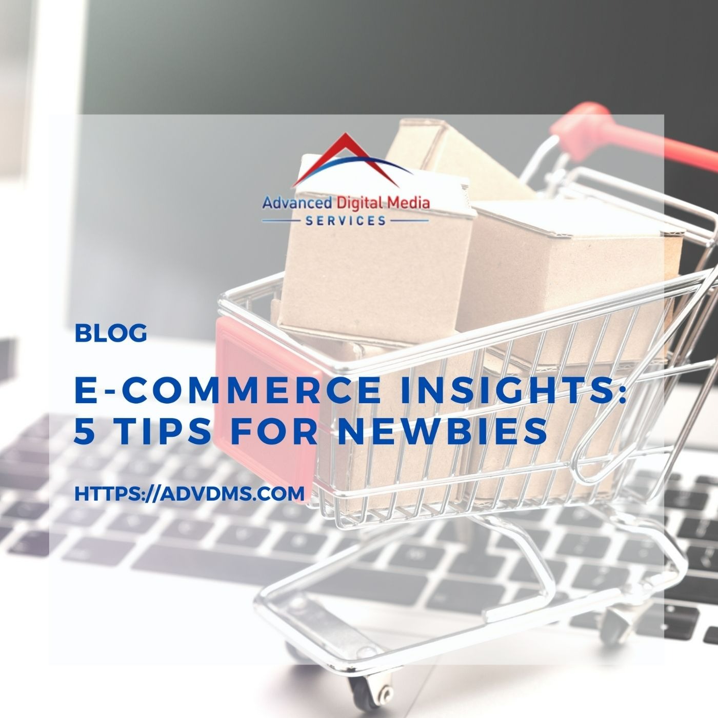 E-commerce Insights: 5 Tips for Newbies episode artwork
