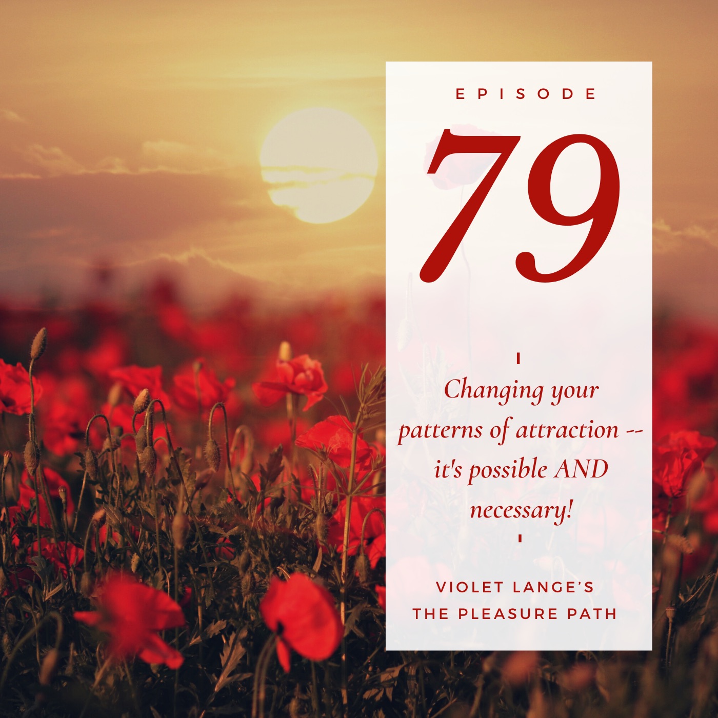 79 Changing your patterns of attraction — it’s possible AND necessary! episode artwork