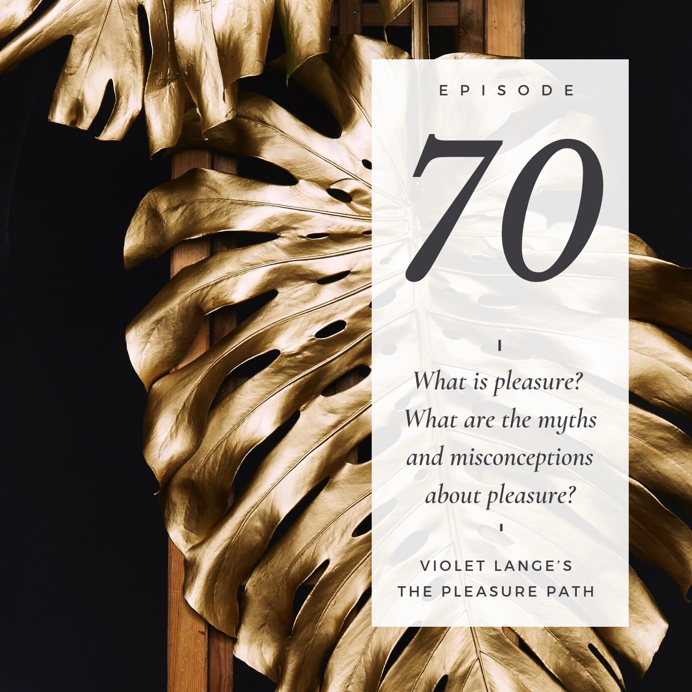 70 What is pleasure? What are the myths and misconceptions about pleasure? episode artwork