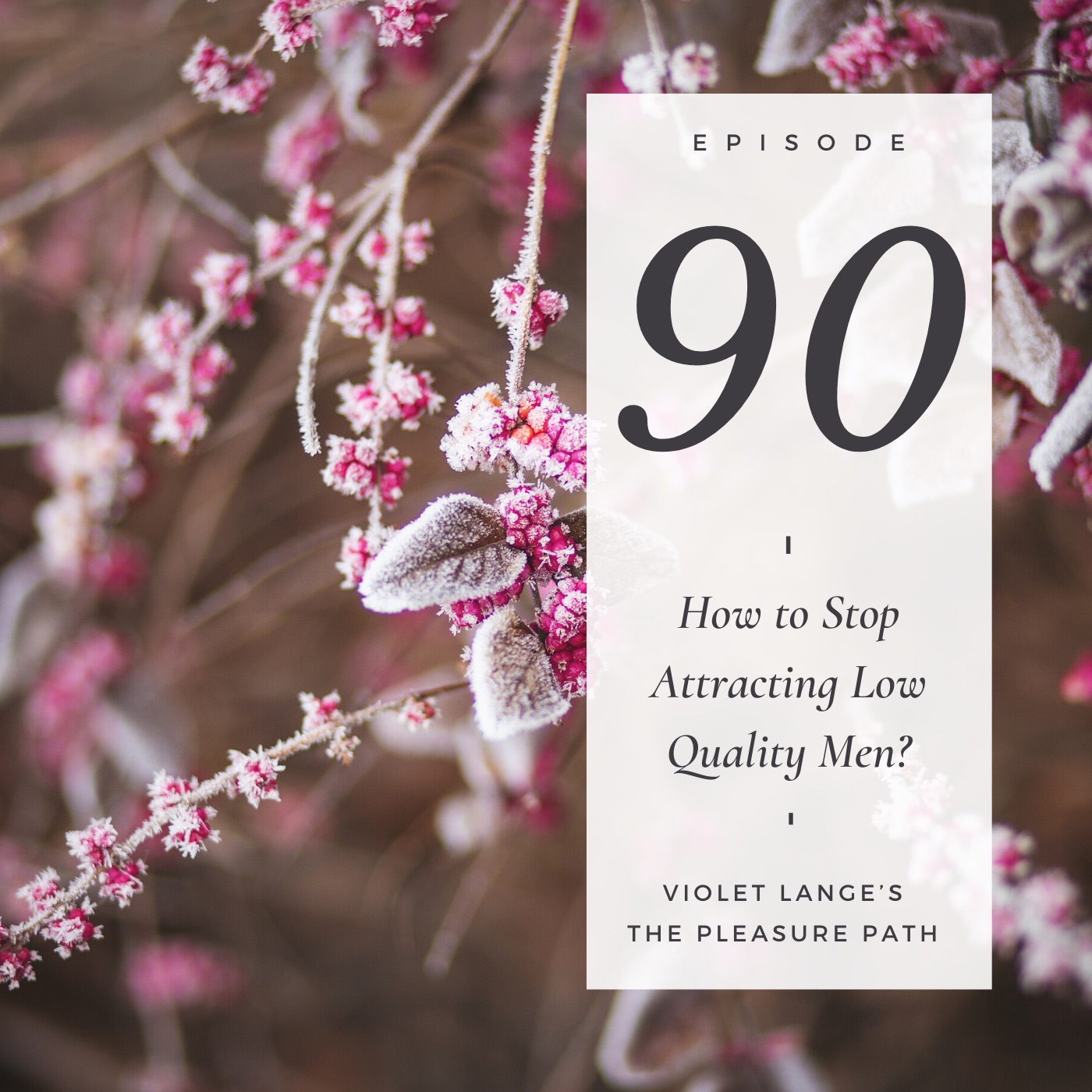 90 How to Stop Attracting People Who Can't Match Your Vision episode artwork