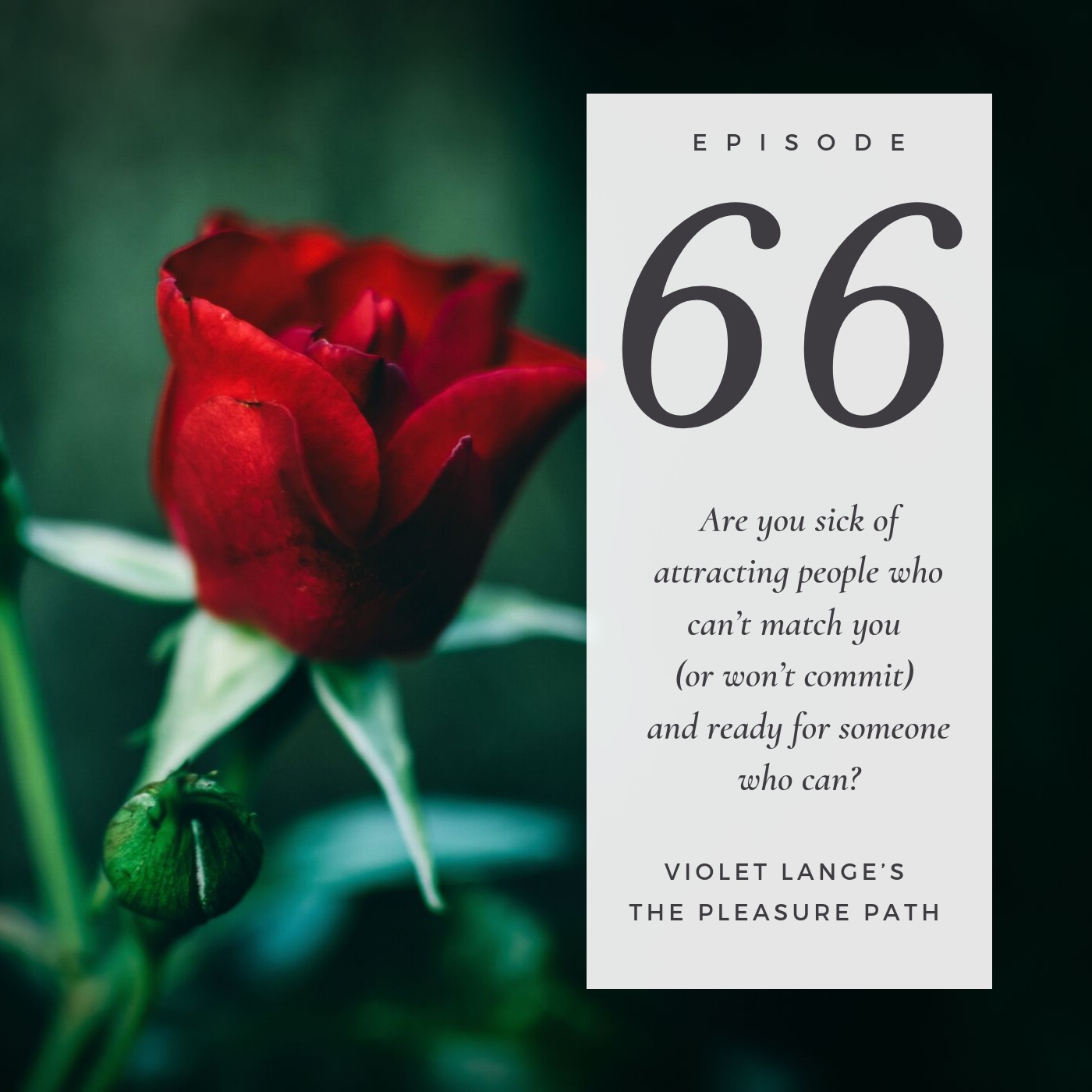 66 Are you sick of attracting people who can’t match you (or won’t commit) and ready for someone who can? episode artwork