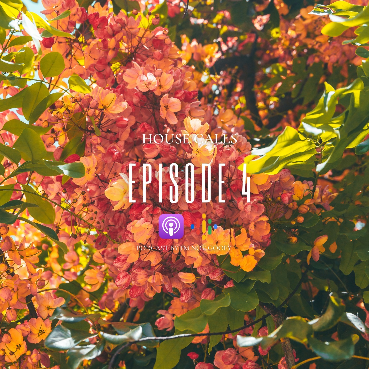 #004 House Calls Podcast