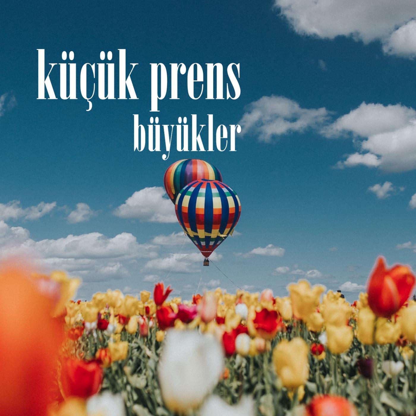 Küçük Prens - Büyükler episode artwork