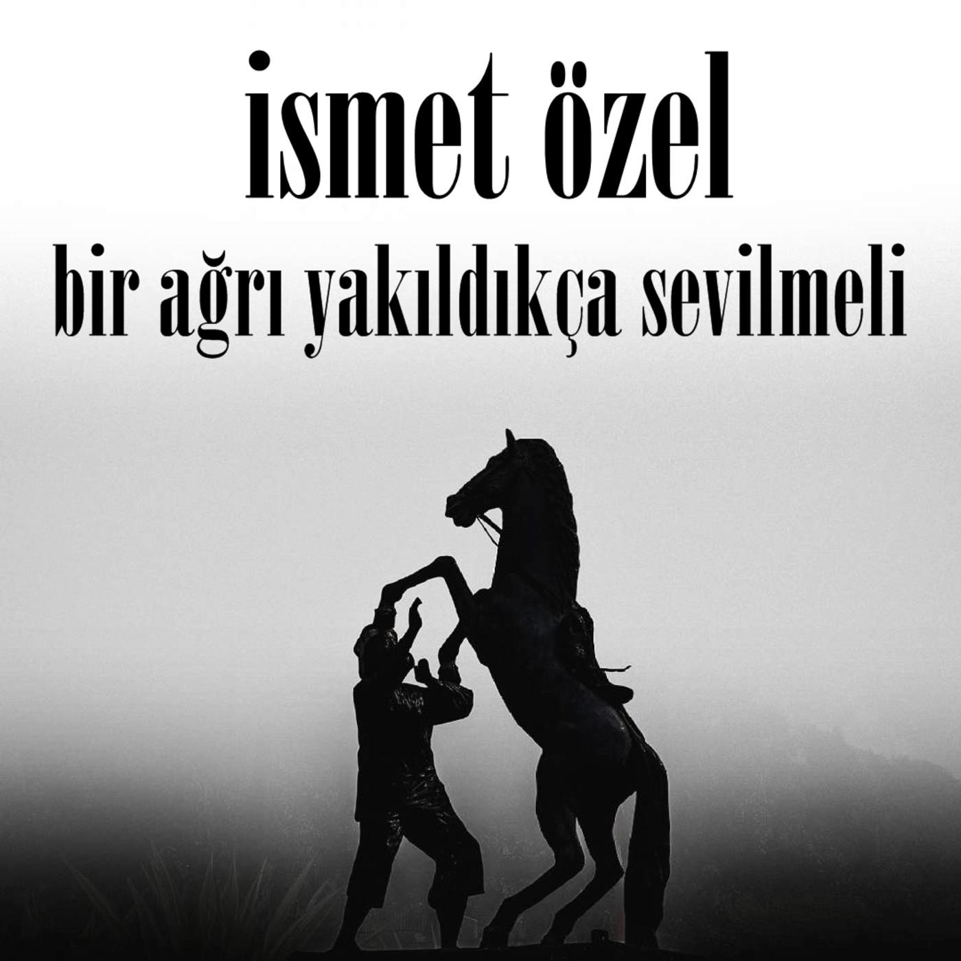 Okuyorum Dinliyor Musun?