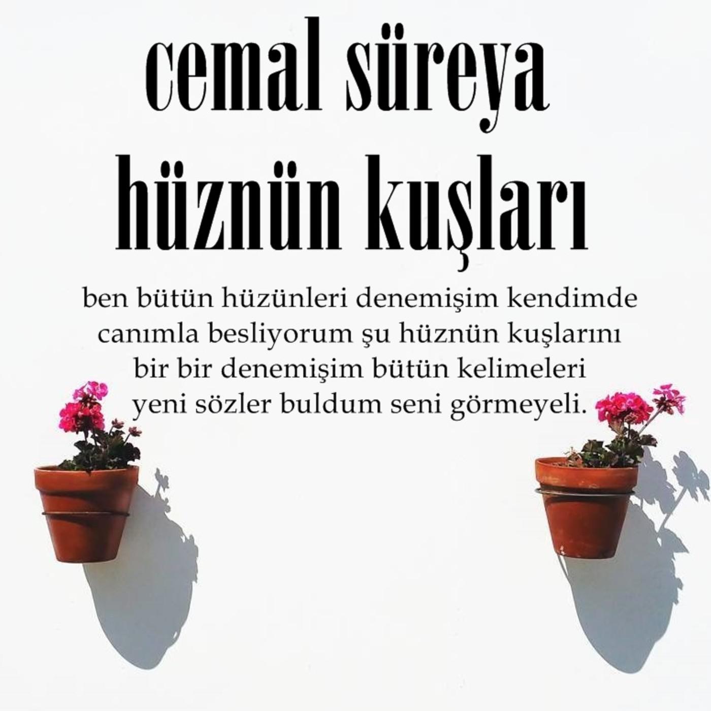 Okuyorum Dinliyor Musun?