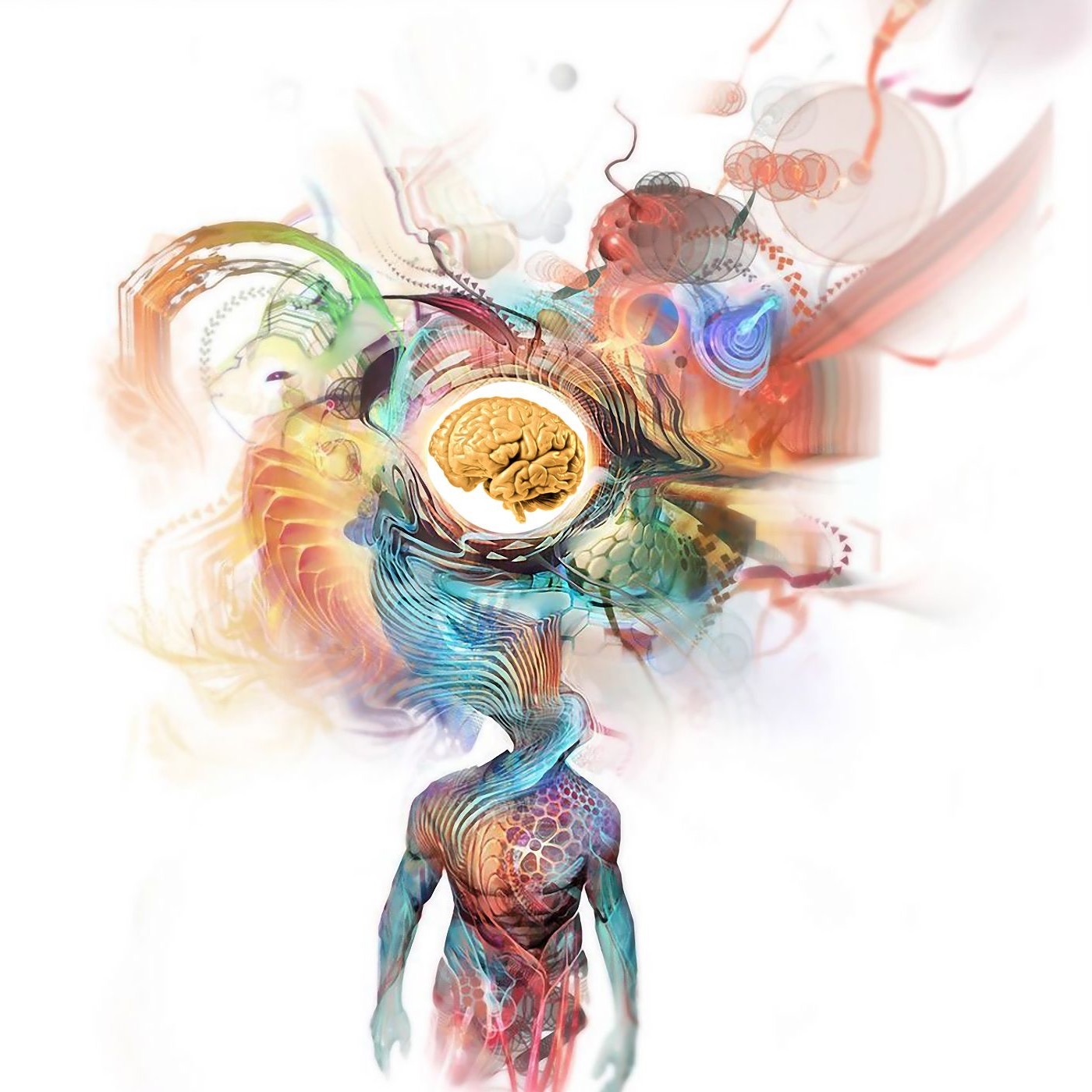 Audio Player Image