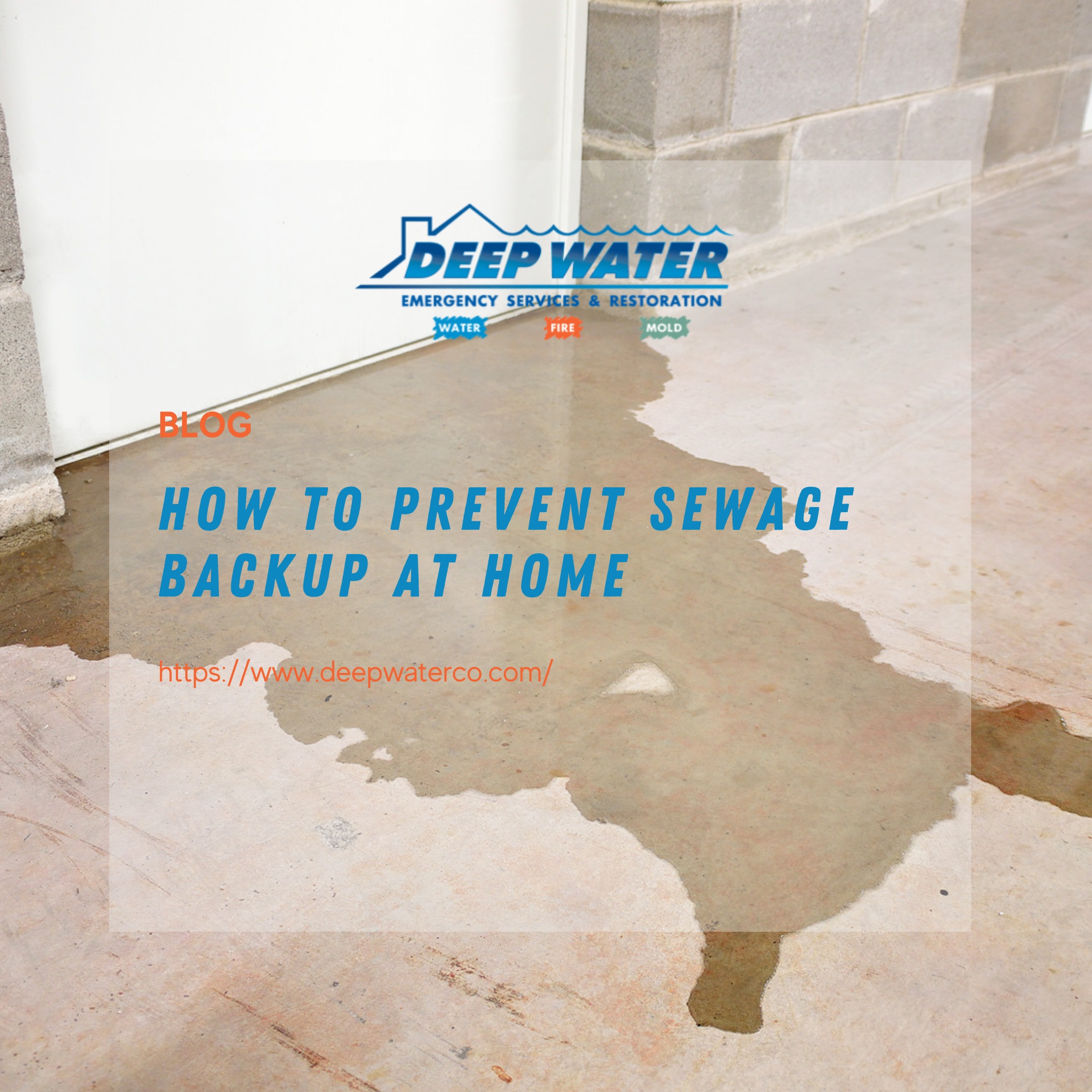  How to Prevent Sewage Backup at Home 