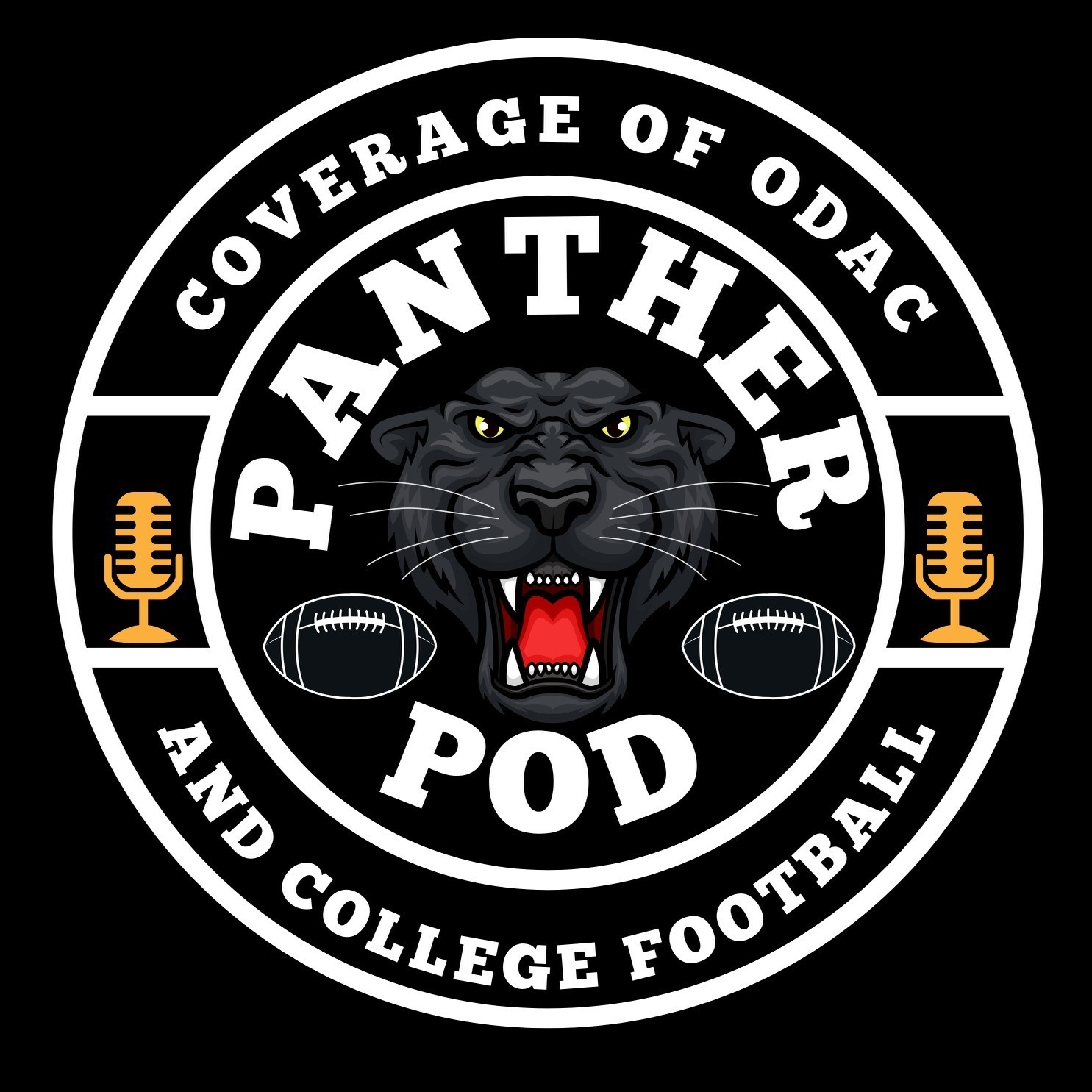 The PantherPod
