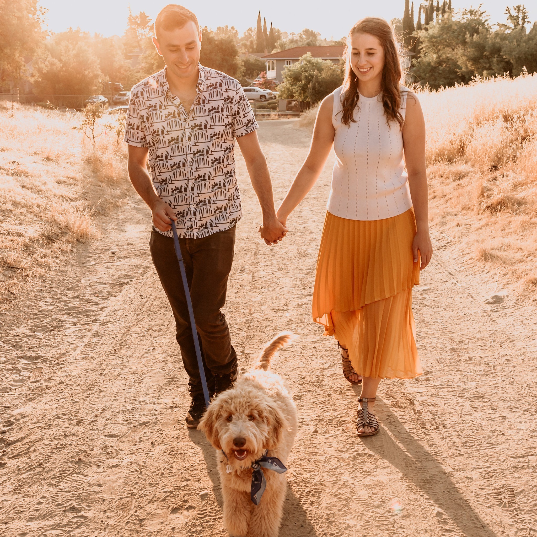 Pups and Pastries cover art