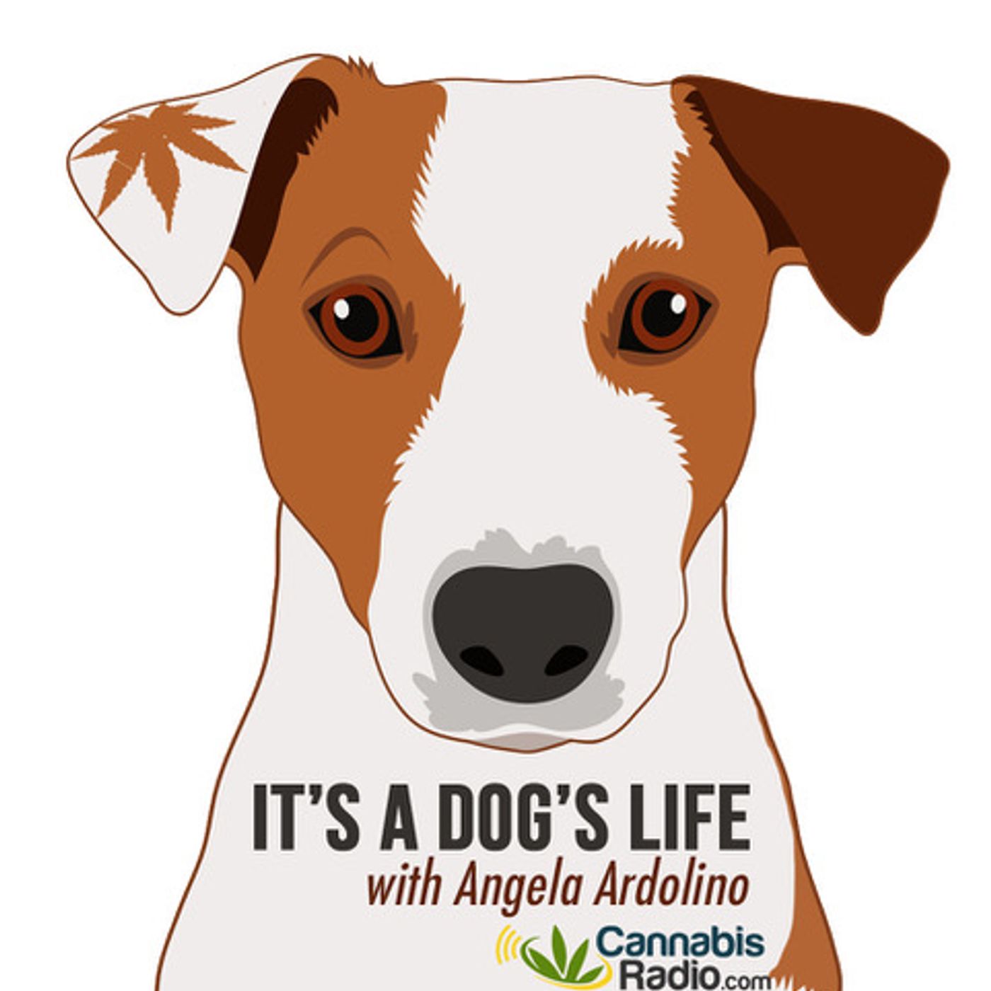 It\'s A Dog\'s Life