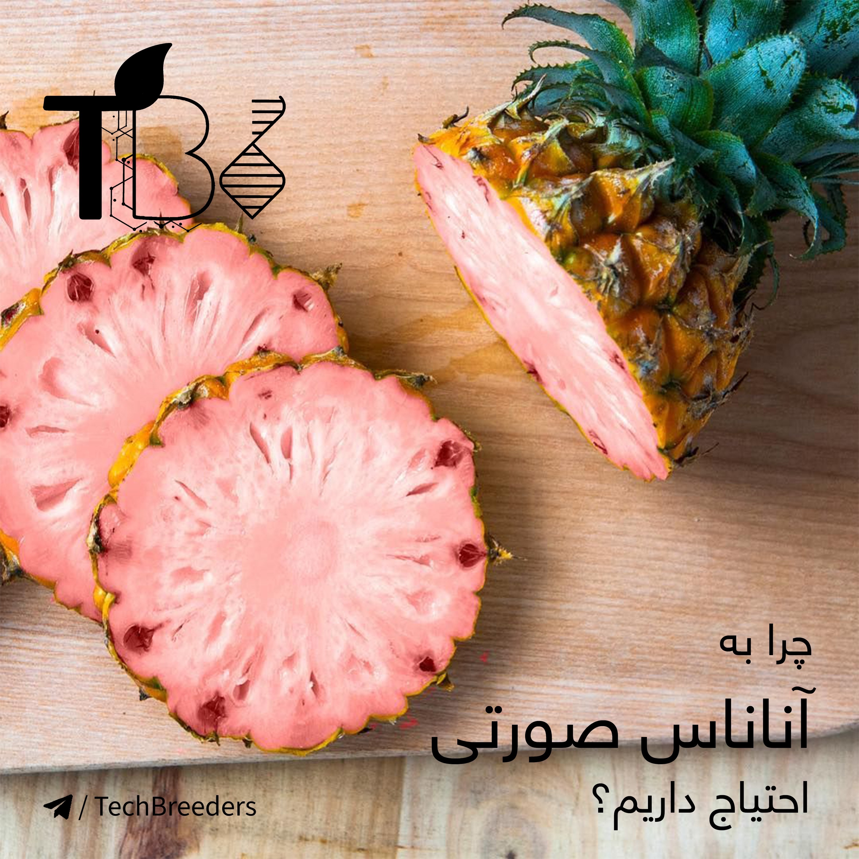 چرا به آناناس های صورتی احتیاج داریم؟
