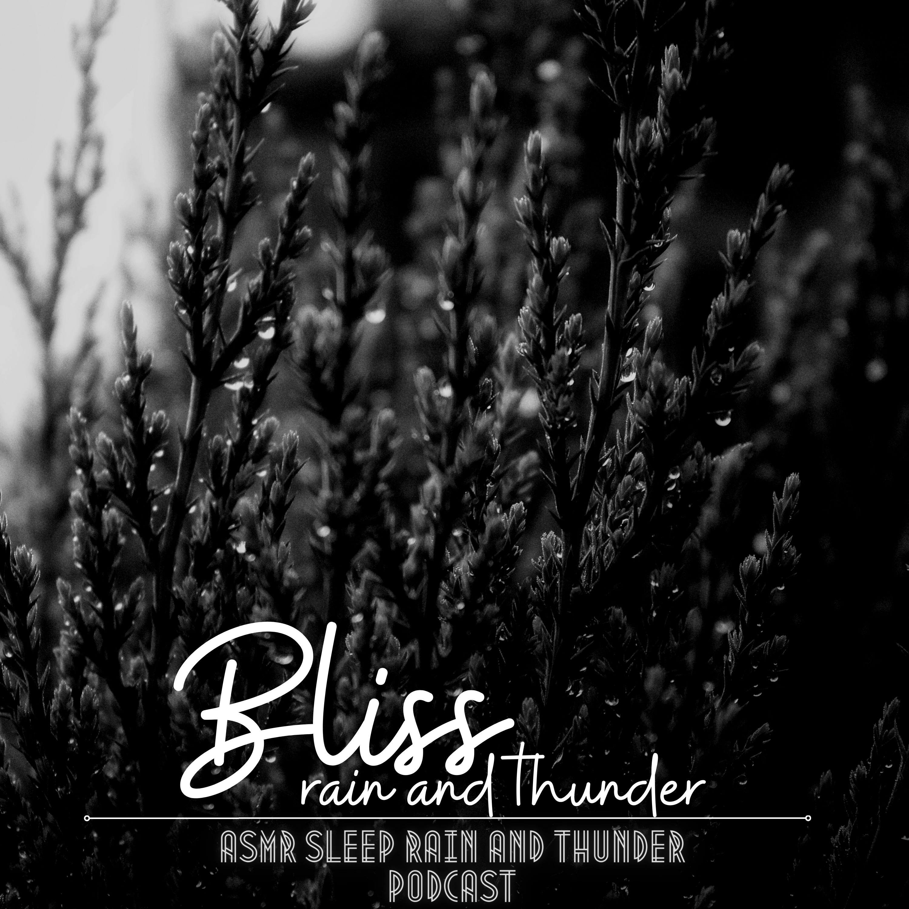 Bliss in the Rain and Thunder Sounds for Sleeping ASMR Sleep Rain and Thunder Podcast