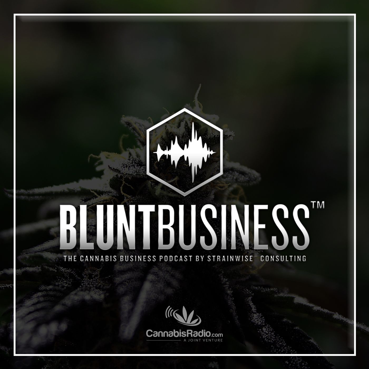 Preparing License Applications for Clients in Emerging Cannabis Markets