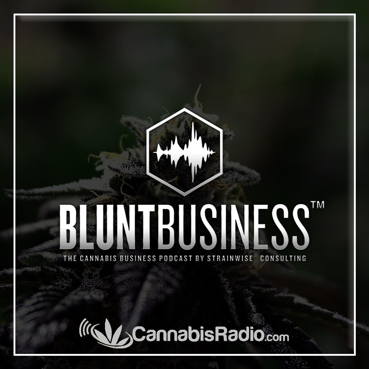 Blunt Business