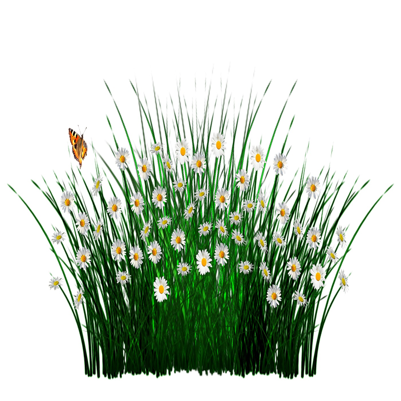 Audio Player Image