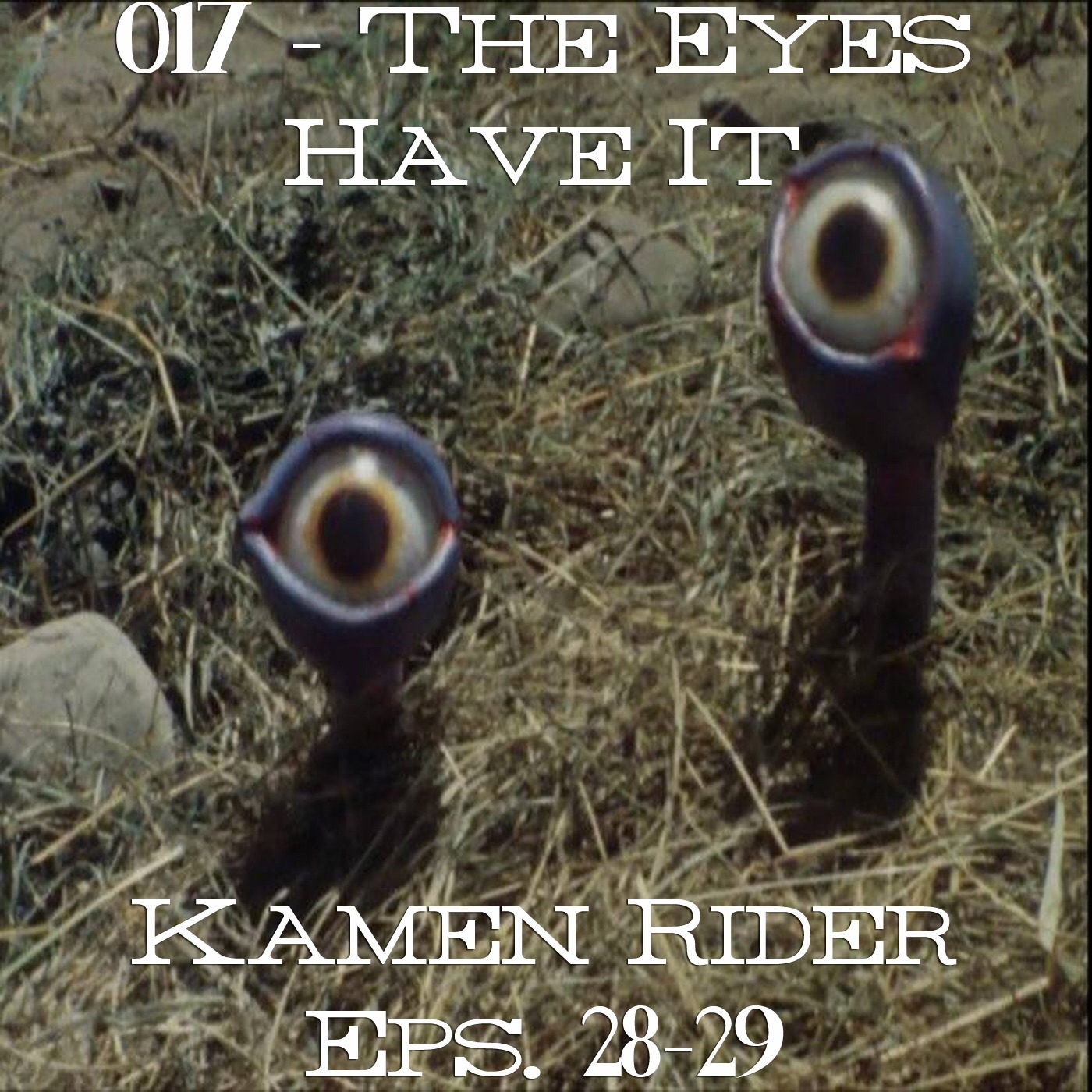 017 - The Eyes Have It (Kamen Rider Eps 28-29) episode artwork