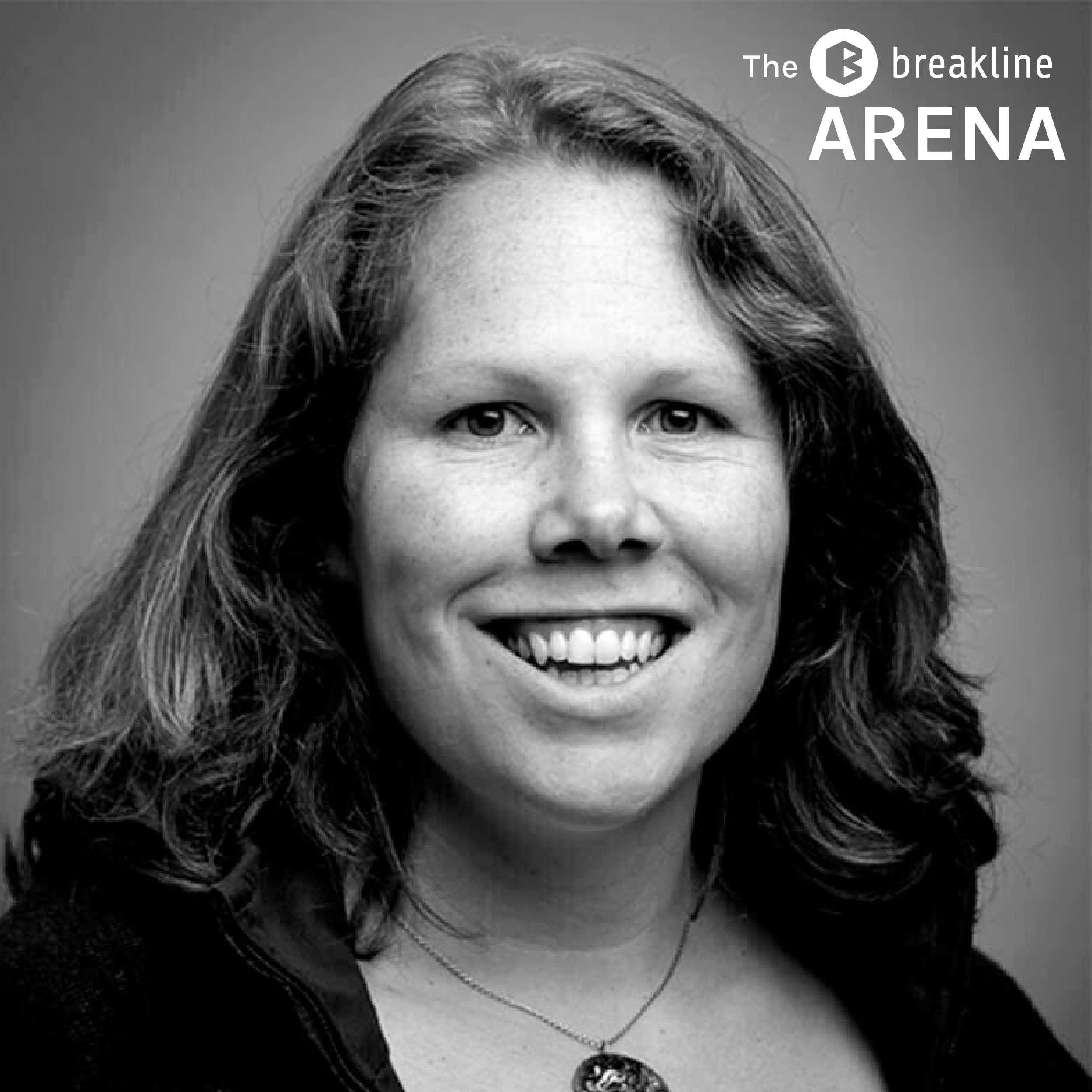 The BreakLine Arena