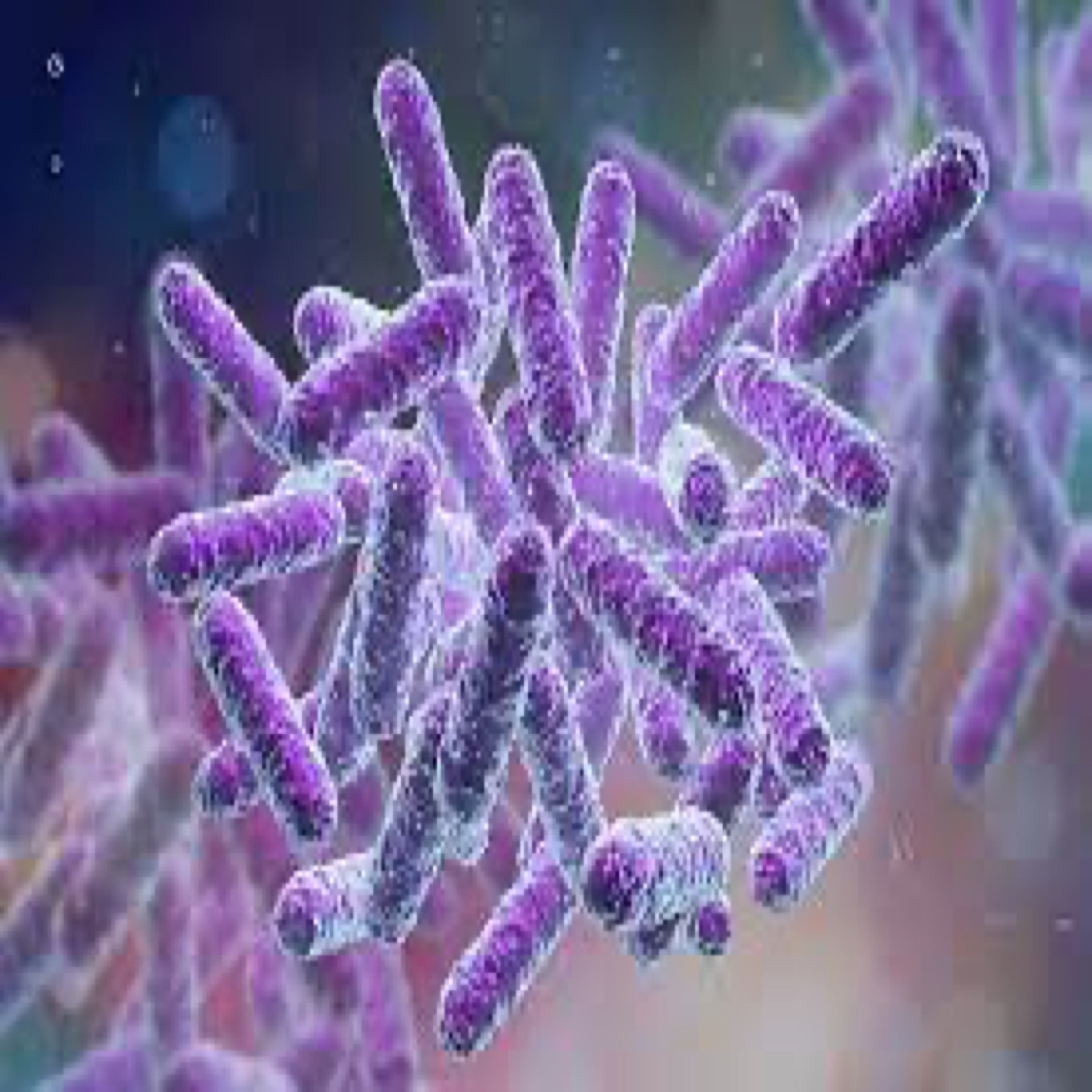 Exosome