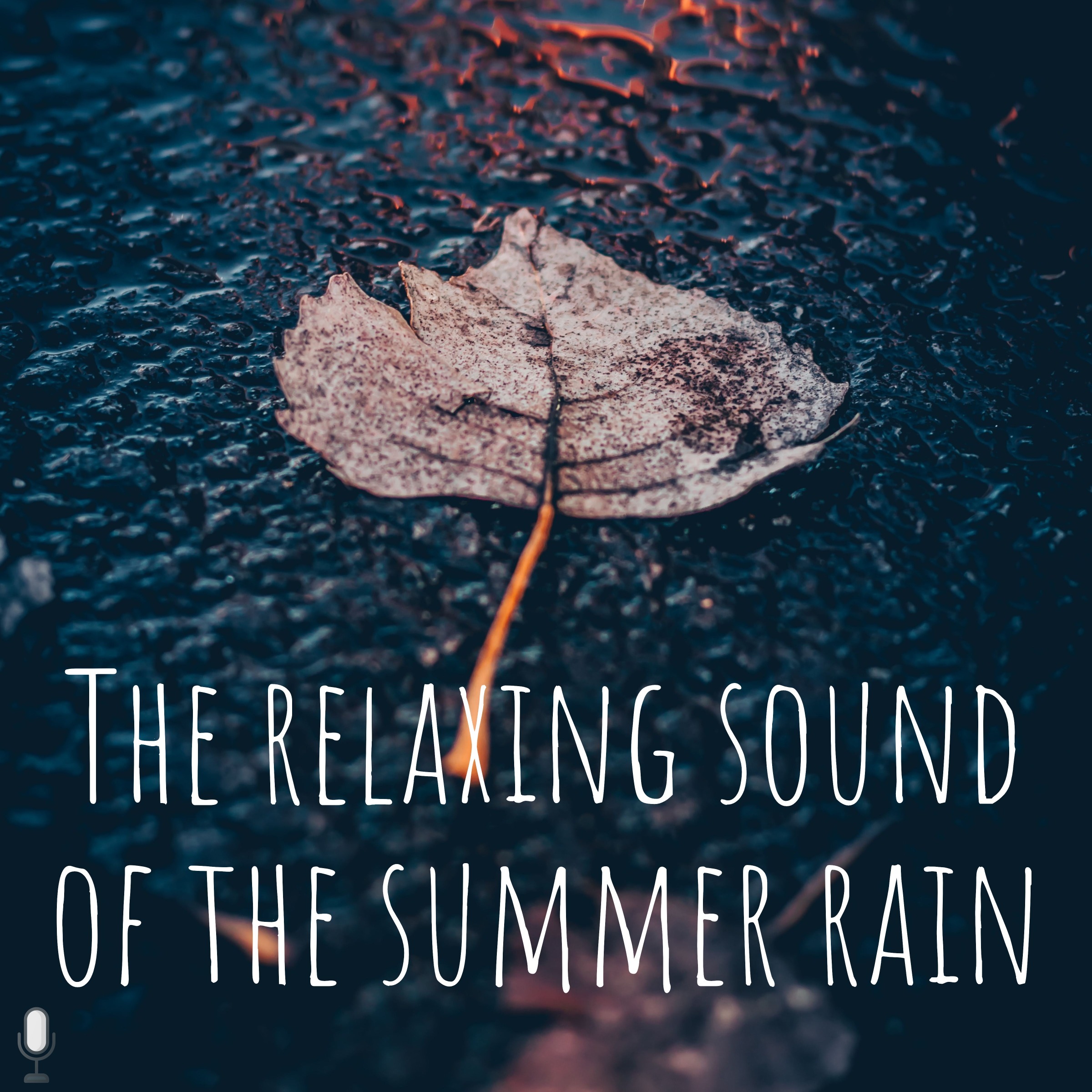 The relaxing sound of the summer rain ASMR Sleep Rain and Thunder Podcast