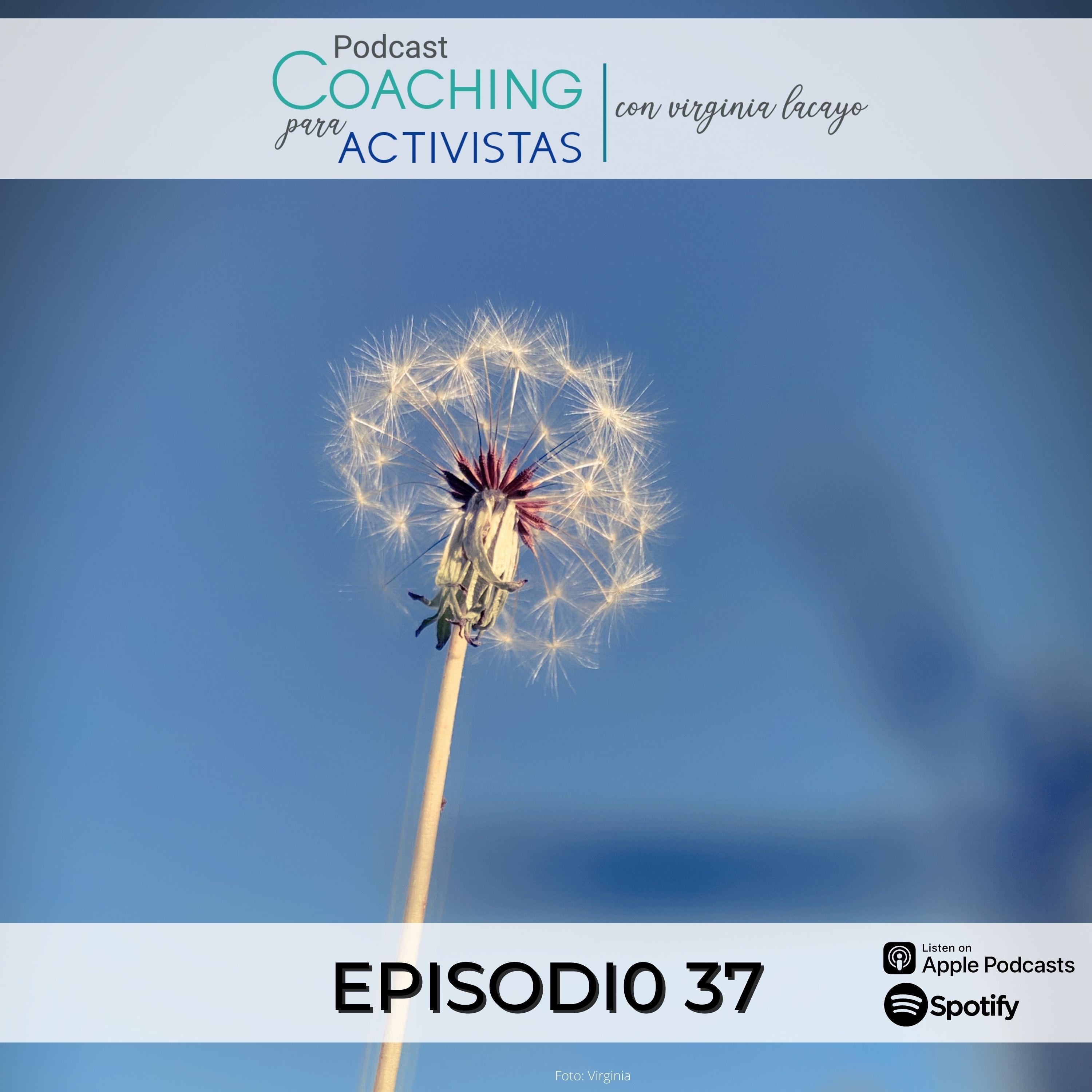 Indomable - Podcast con Virginia Lacayo