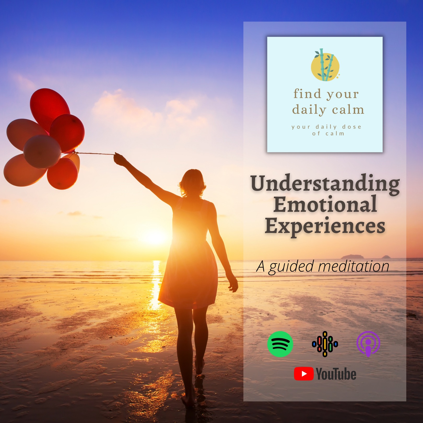 Understanding Emotional Experiences