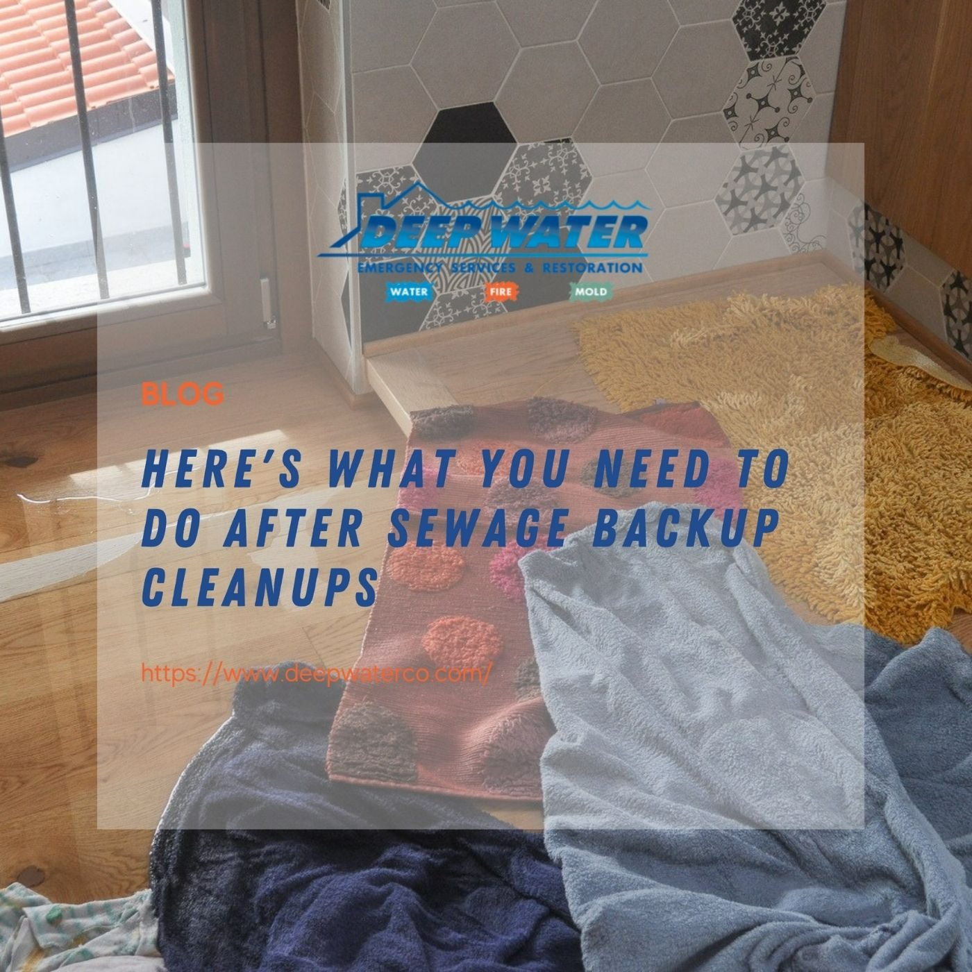 Here's What You Need to Do After Sewage Backup Cleanups 