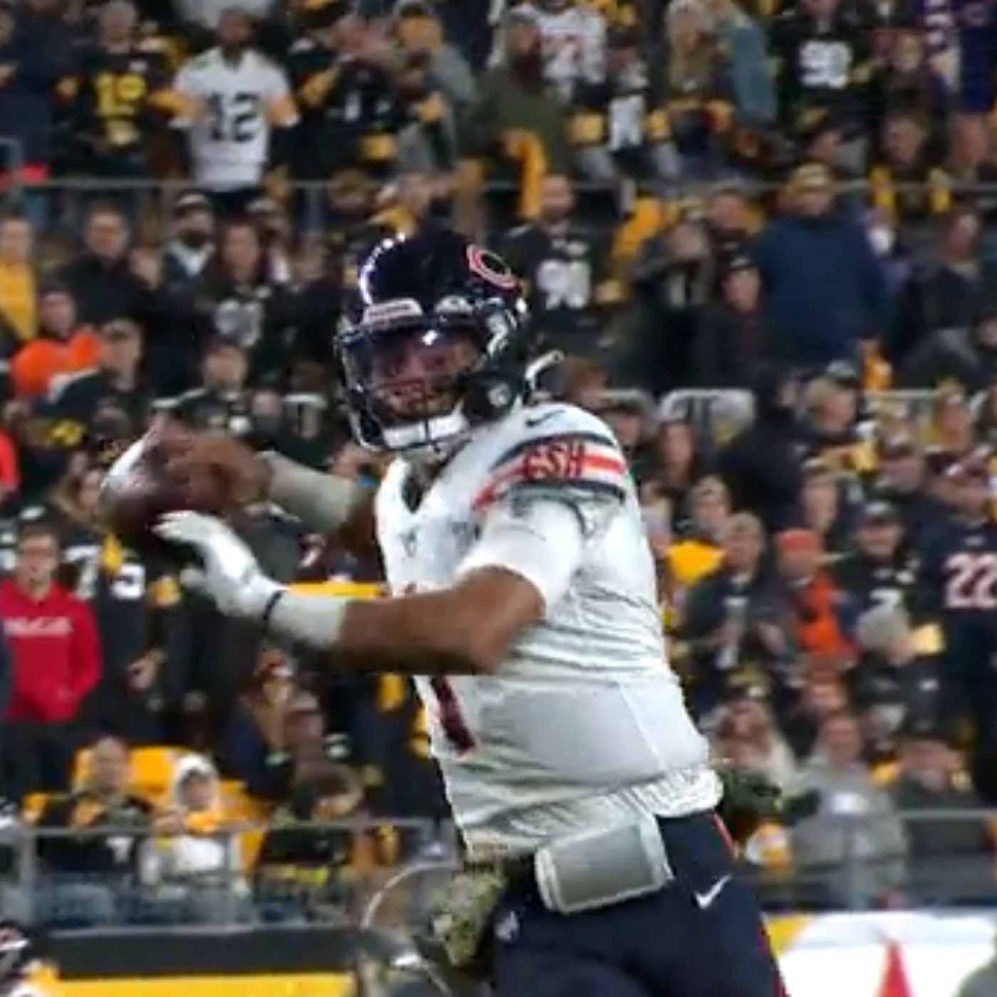 Bears Lost And WON!