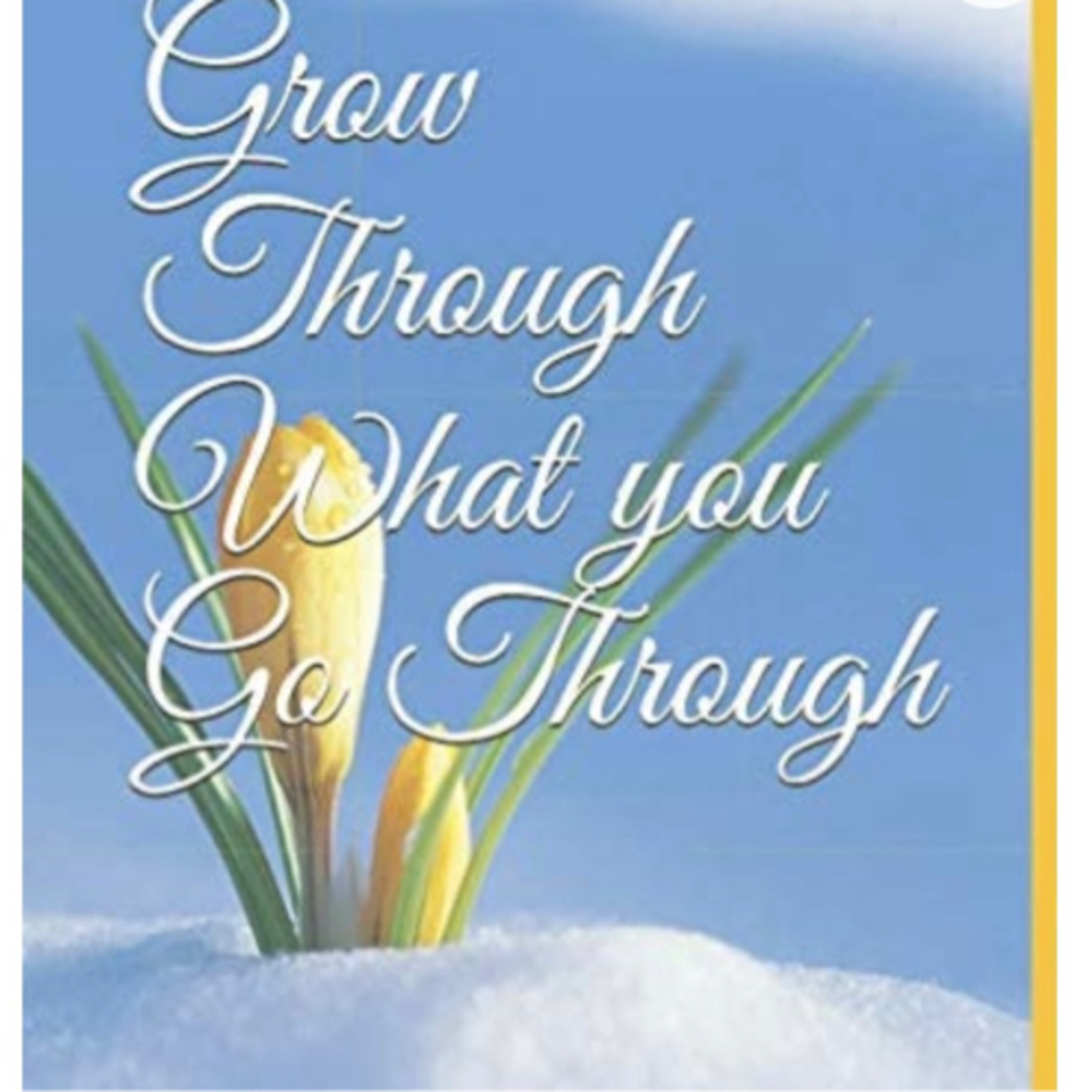 “Grow Through What You Go Through”    By Nikel Dixon episode artwork