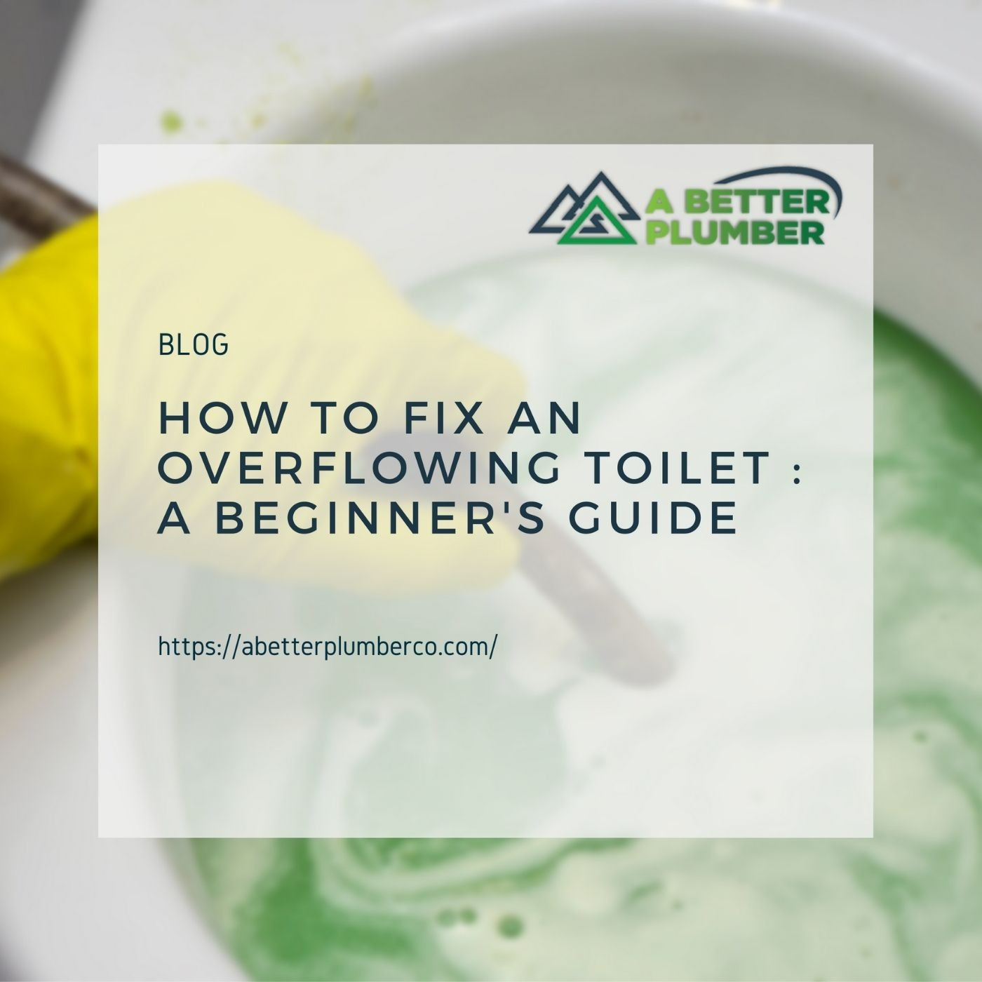 How To Fix an Overflowing Toilet : A Beginner's Guide