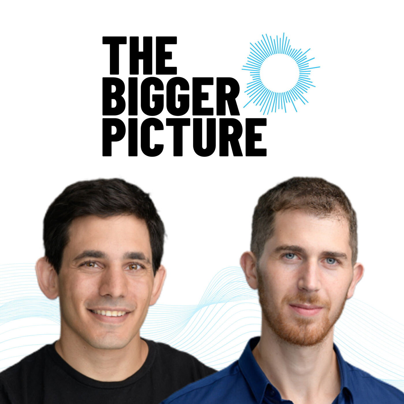 The Bigger Picture