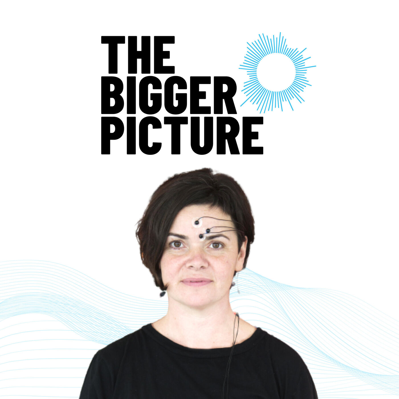 The Bigger Picture